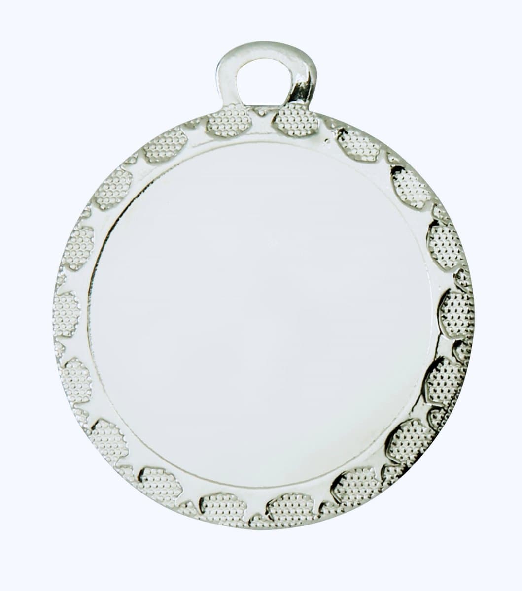 Schmeichel Sølvmedalje (inkl. emblem & medaljebånd)